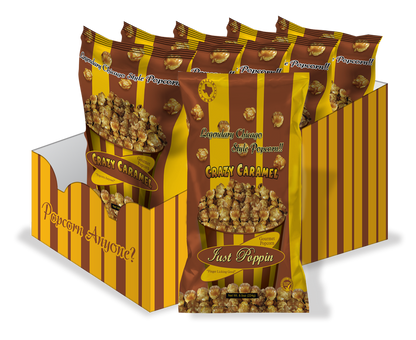 6 PACK FAMILY SIZE BAGS 6.50Z-8.5OZ